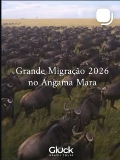 Grande Migração — Angama Mara